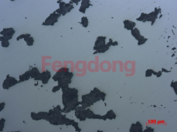 裂紋附近心部顯微組織未腐蝕 100× 裂紋附近心部顯微組織未腐蝕 100×