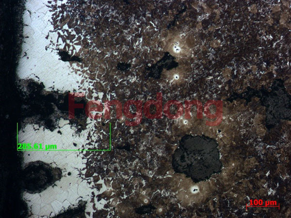 裂紋附近表面顯微組織 100× 裂紋附近表面顯微組織 100×